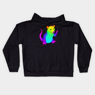 Rainbow Possum Kids Hoodie